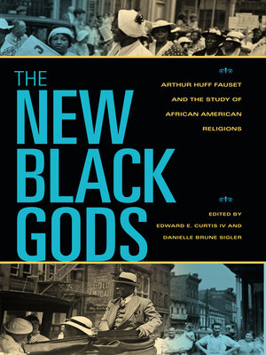 cover image of The New Black Gods